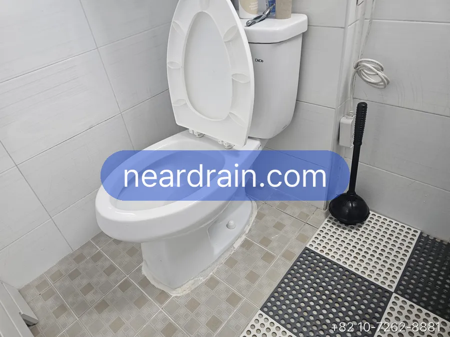 Toilet left on its flange — no removal needed