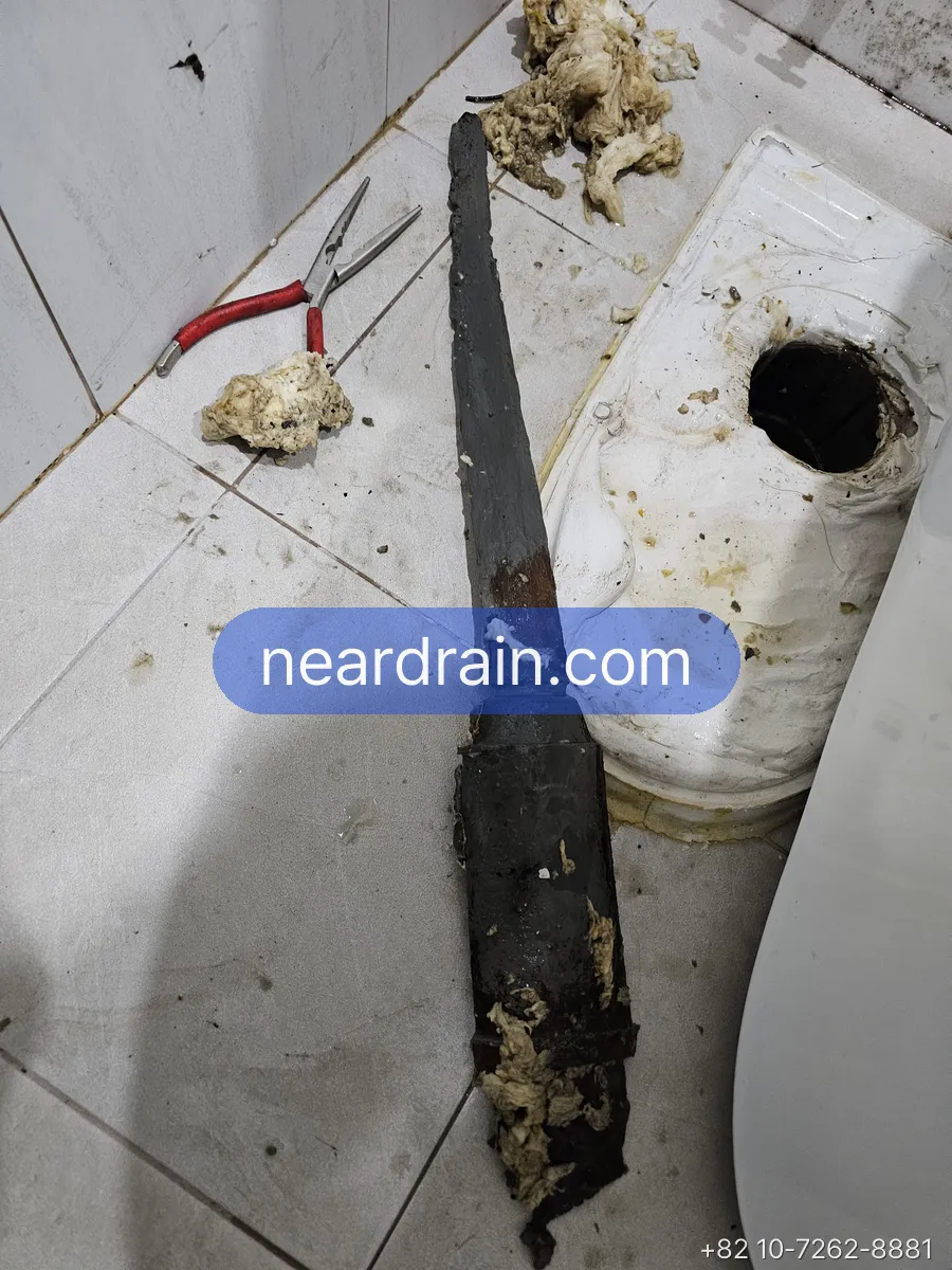 Object recovered from a toilet drain