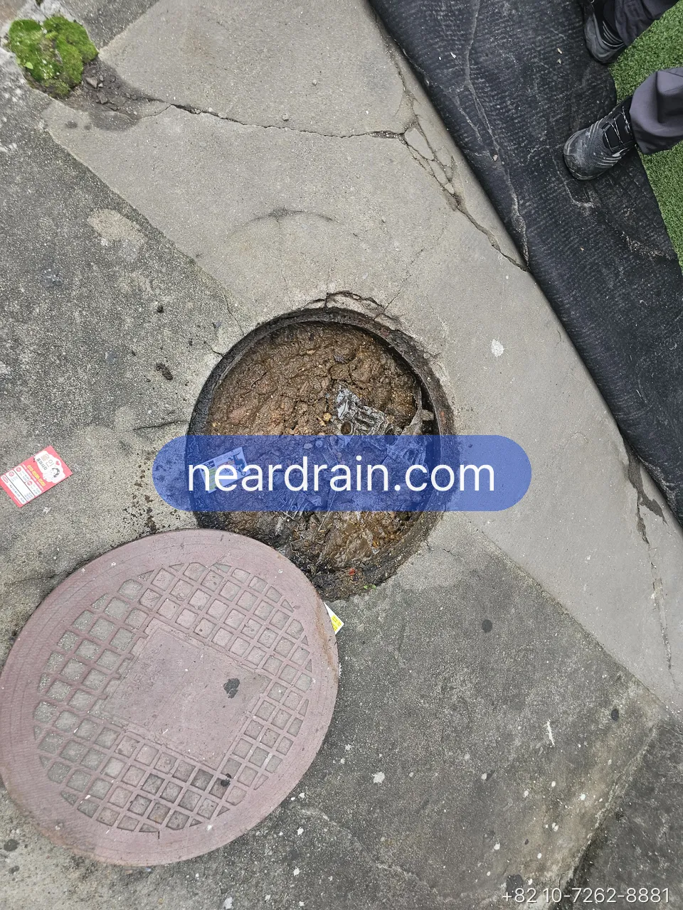 Round rain gully in a paved yard with the cover lifted, silt packed to the top